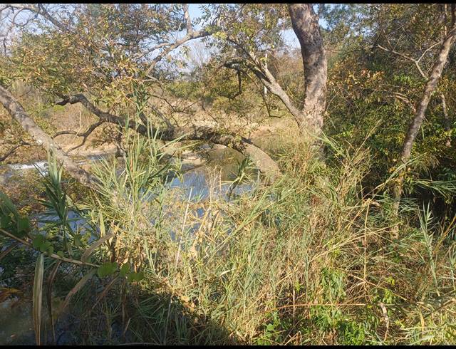 20HA FARM FOR SALE IN NELSPRUIT RURAL